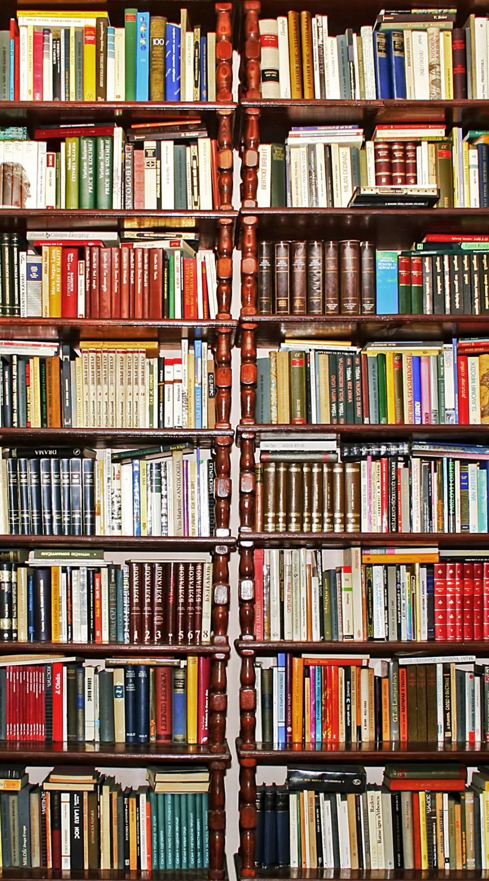 ביטוח נסיעות לסטודנטים בחו''ל